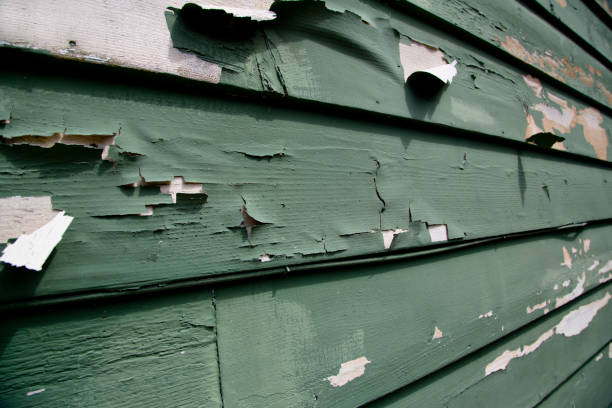Best Retail Junk Removal  in Holley, NY