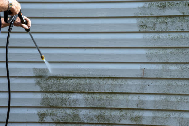 Best Hoarding Cleanup  in Holley, NY