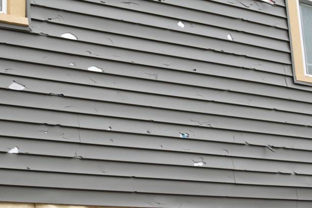 Best Shed Removal  in Holley, NY