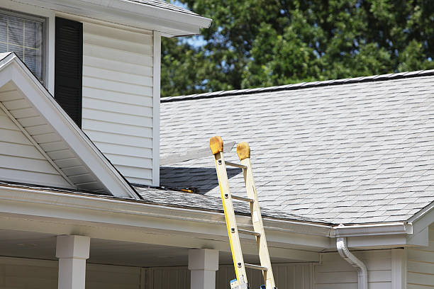 Best Property Management Cleanouts  in Holley, NY